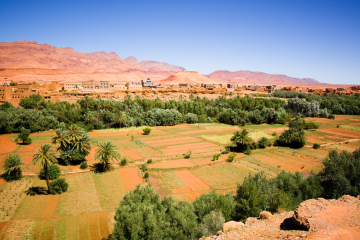 Assistance technique environnementale, sociale et en réinstallation de populations pour le programme Compact II : Maroc