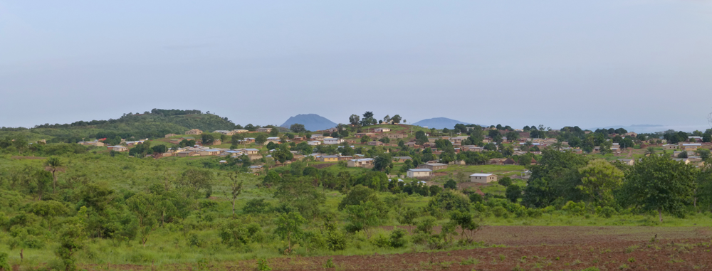 Etude de la ligne d’interconnexion électrique 225kV entre la Guinée et le Mali